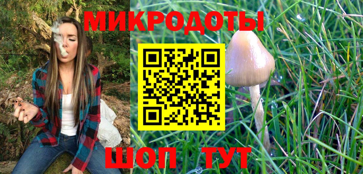 что такое наркотик  Галлюциногенные грибы Cubensis  Вход с VPN  Грозный 